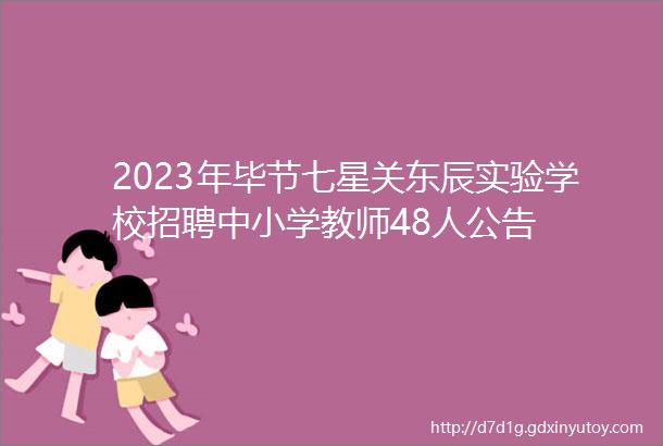 2023年毕节七星关东辰实验学校招聘中小学教师48人公告