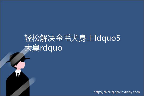 轻松解决金毛犬身上ldquo5大臭rdquo